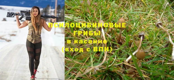 марки nbome Медвежьегорск