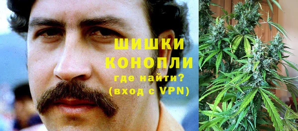 ешки Мегион
