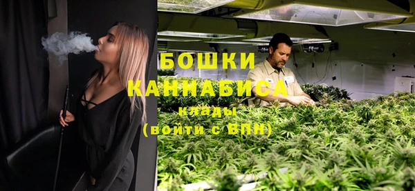 ешки Мегион